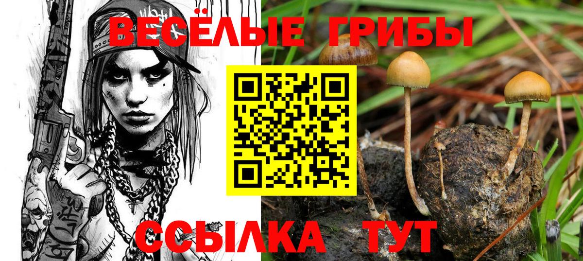 Галлюциногенные грибы ЛСД Ейск